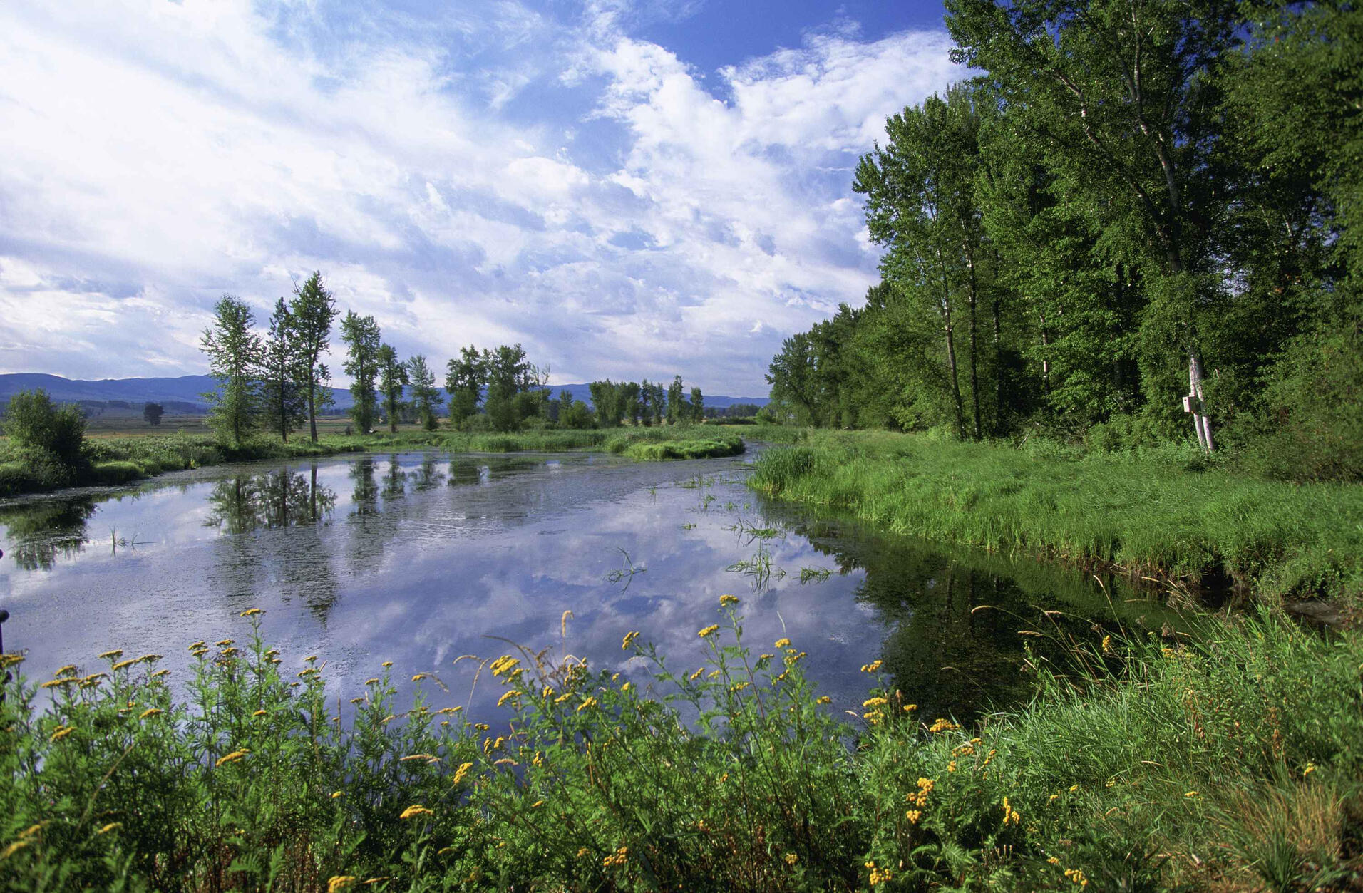 an image of a lake, surrounded by steep rocks/mountains. the sky is blue and mostly clear and there are several kinds of green trees in the foreground.