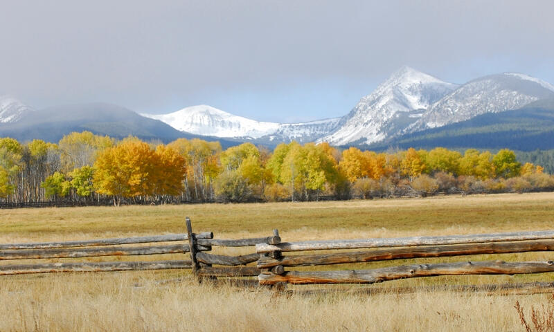 a picturesque image of a shallow creek, with grassy banks and trees and mountains in the background